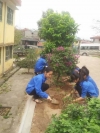 Tuổi trẻ làm theo lời Bác