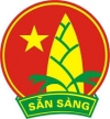 Liên đội trường THCS Hoàng Hoa Thám  tổ chức Đại hội năm học 2016 – 2017